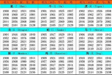 2026五行|2026年生肖马是什么命 2026年马年五行是什么